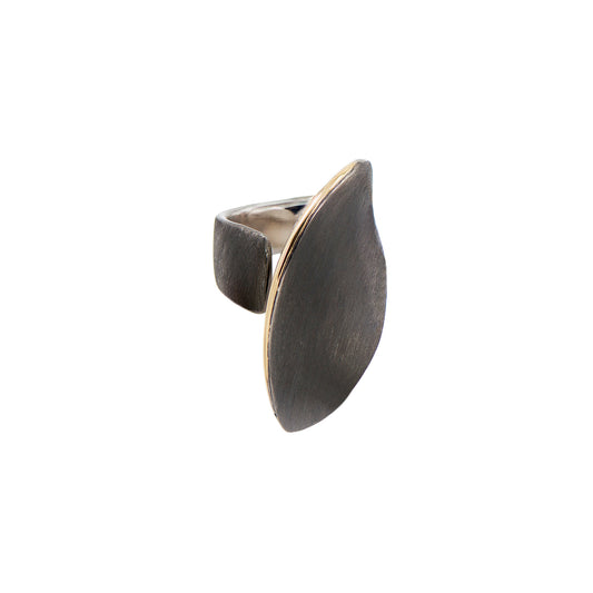 SILVER GOLD RING